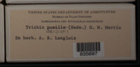 Image Associated With the Occurence